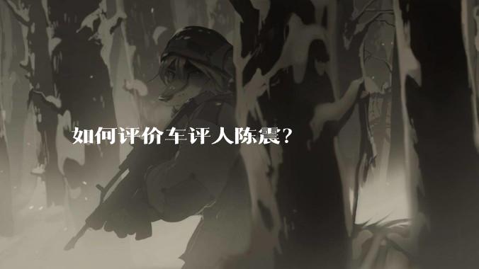 如何评价车评人陈震？