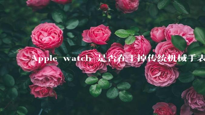 Apple watch 是否在干掉传统机械手表？