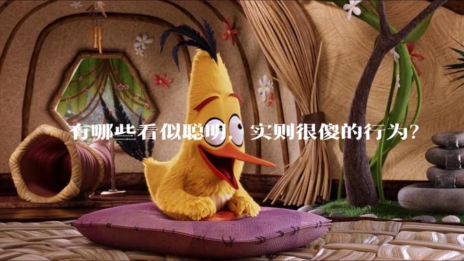 有哪些看似聪明，实则很傻的行为？