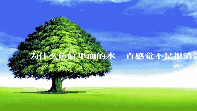 为什么鱼缸里面的水一直感觉不是很清澈呢？