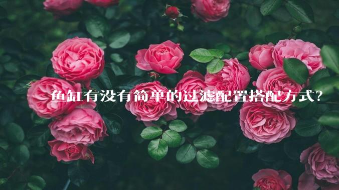 鱼缸有没有简单的过滤配置搭配方式？