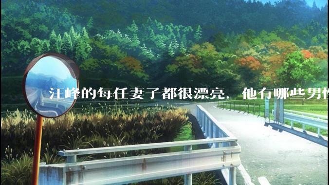 汪峰的每任妻子都很漂亮，他有哪些男性魅力？